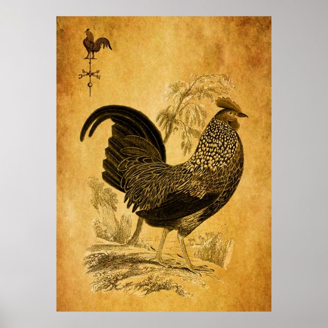 Erntedank Rooster Poster (Vorne)