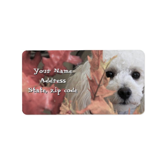 Erntedank Toy Poodle Welpen-Adressetiketten Adressaufkleber (Vorne)