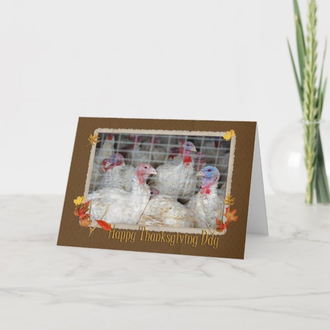 Erntedank Türkei Feiertagskarte (Vorderseite)