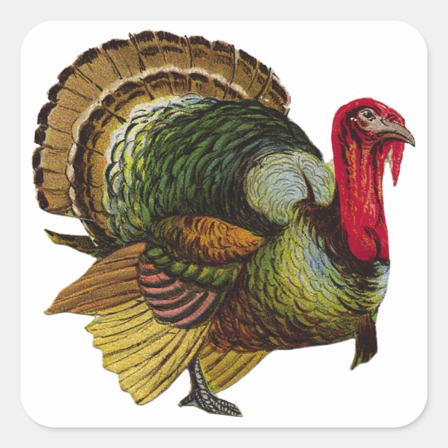 Erntedank Türkei Quadratischer Aufkleber (Vorderseite)