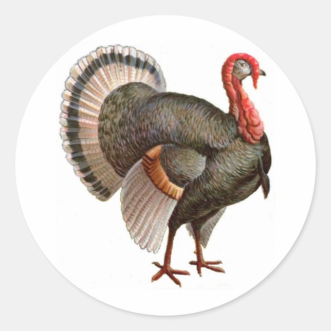 ERNTEDANK TÜRKEI RUNDER AUFKLEBER (Vorderseite)