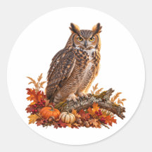 Erntedankfest Großohrkauz Herbstwald