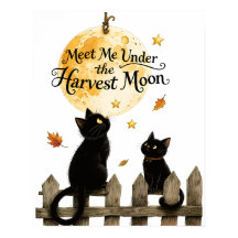 Erntemond Schwarze Katzen Herbst Mondbeschienener