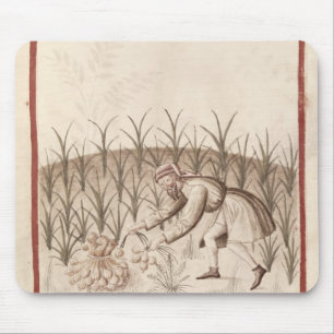 Ernten des Knoblauchs Mousepad