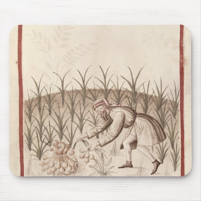 Ernten des Knoblauchs Mousepad (Vorne)