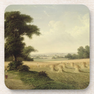 Ernten (Öl auf Leinwand) Getränkeuntersetzer
