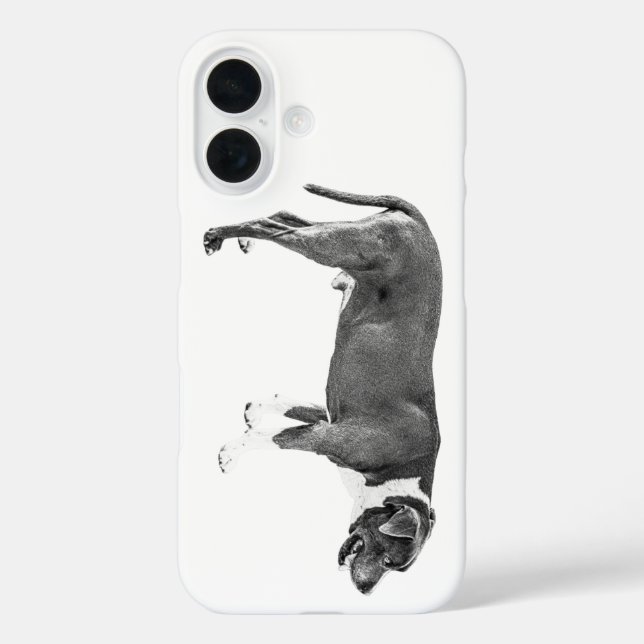 Erntezeit iPhone 16 Hülle (Rückseite)
