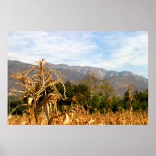 Erntezeit Poster