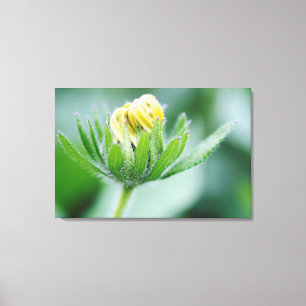 Eröffnung der Blume der Kone-Blume Leinwanddruck