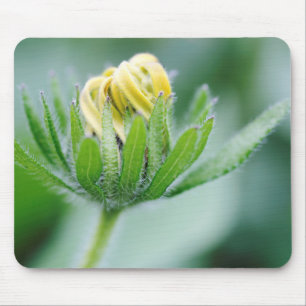 Eröffnung der Blume der Kone-Blume Mousepad