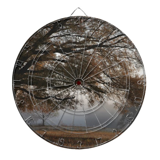 Erreichbarkeit Dartscheibe (vorne)