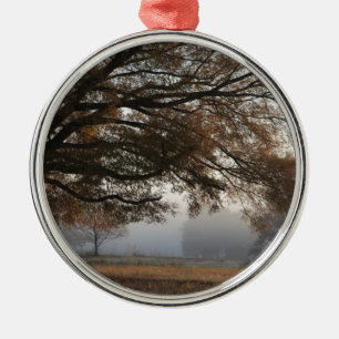 Erreichbarkeit Silbernes Ornament