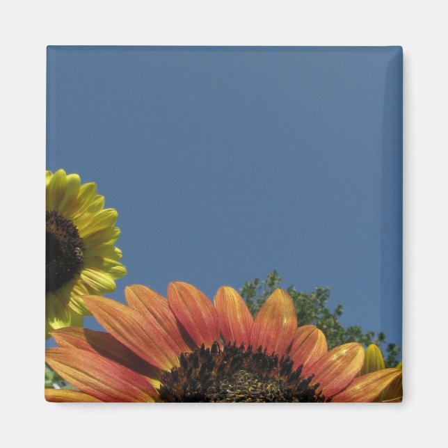 Erreiche den Himmel! Magnet (Vorne)