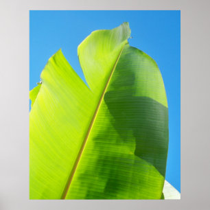 Erreichen für Sun Poster