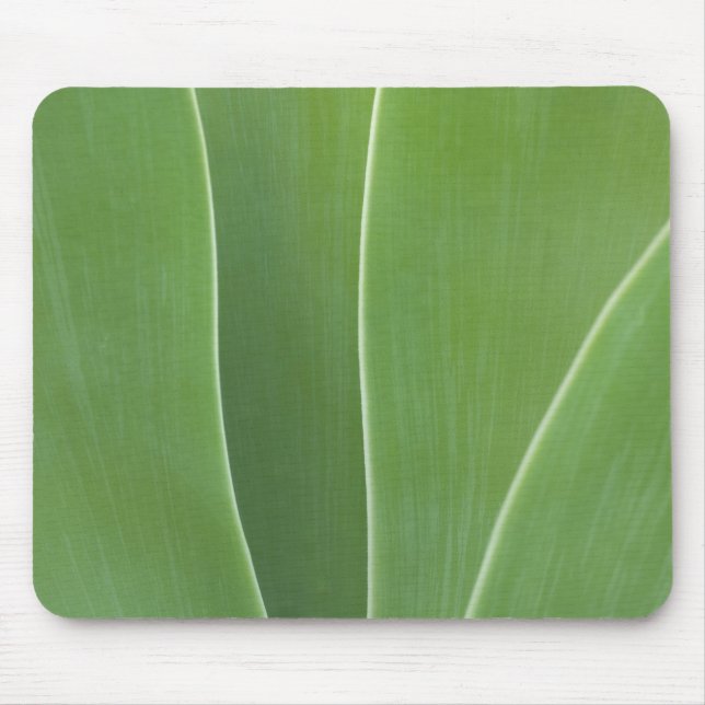 Erreichte Pflanze Nah Mousepad (Vorne)