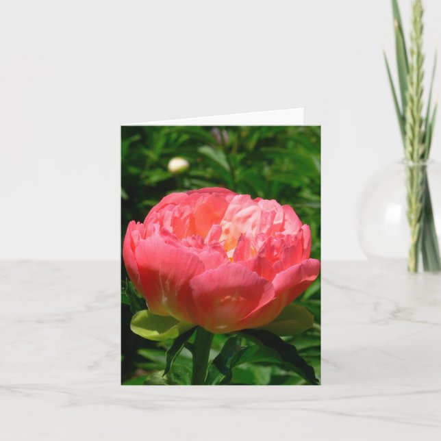"ERRÖTENDE ROSA PFINGSTROSE" NOTECARD (PHOTOG) KARTE (Vorderseite)