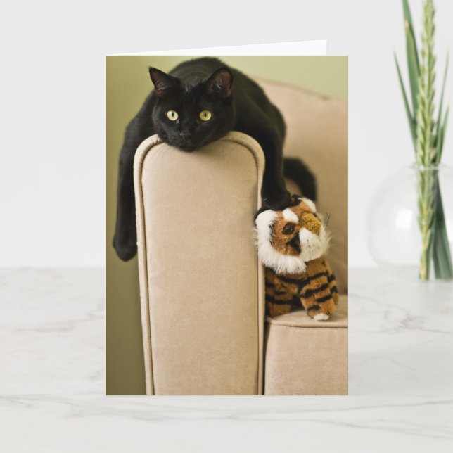 Ersatz Katzen Notecard Karte (Vorderseite)