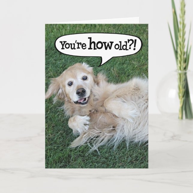 Erschossen Golden Retriever Birthday Card Karte (Vorderseite)