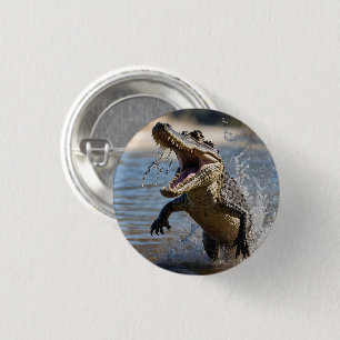 Erschrockenes Maul: Australisches Krokodil springt Button