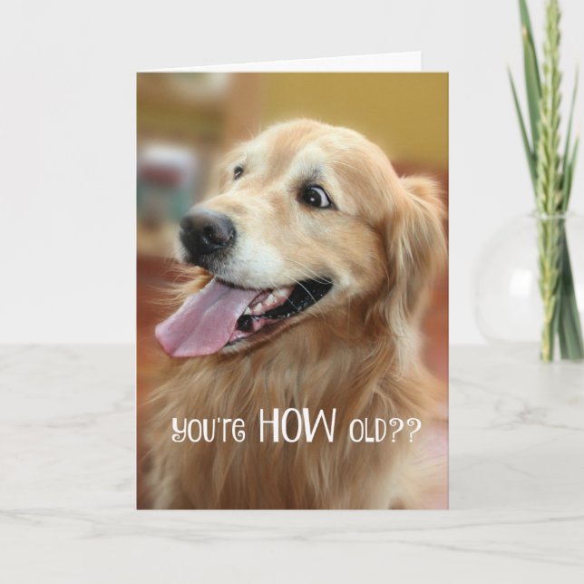 Erschüttert Golden Retriever du bist wie alt Gebur Karte (Vorderseite)