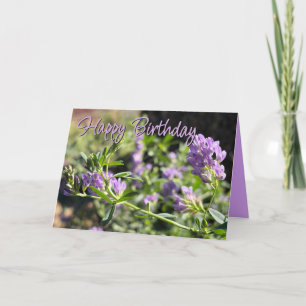 Ersetzbare Alfalfa-Blüten-Foto- & Vorlage-Text Karte