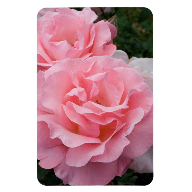 Ersetzen von Rose Foto Vertikal Personalisiert mac Magnet (Vertikal)