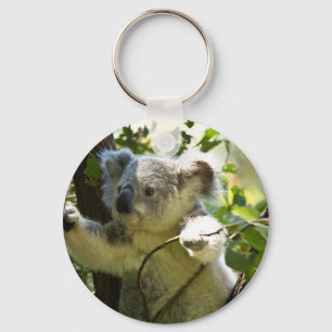 Erstaunlich niedlicher Babykoala in einem Baum Schlüsselanhänger