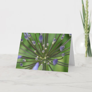 Erstaunliche Agapanthus-Karte Karte
