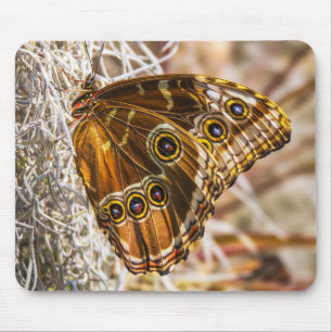 Erstaunliche Blaue Morpho-Schmetterling-Wildlife-F Mousepad