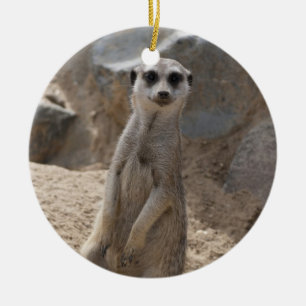Erstaunliche Meerkatze Keramik Ornament