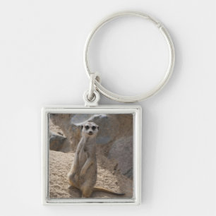 Erstaunliche Meerkatze Schlüsselanhänger