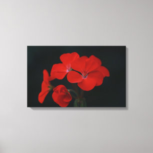 Erstaunliche rote Blumen auf Leinwanddruck