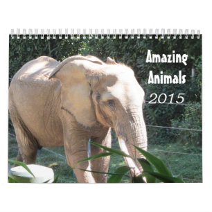 Erstaunliche Tiere 2015 Kalender