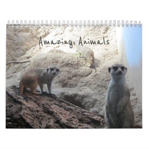 Erstaunliche Tiere Kalender