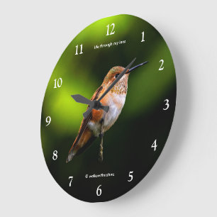 Erstaunlicher Rotschwanzkolibri an Obstbaum Große Wanduhr