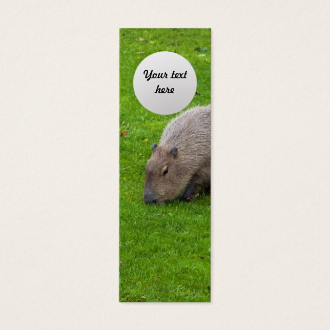 Erstaunliches Tier Capybara (Vorderseite)