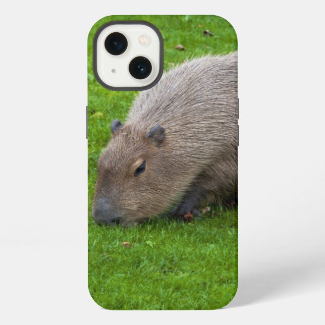 Erstaunliches Tier Capybara iPhone Hülle (Rückseite)