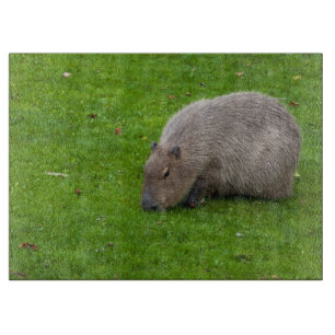 Erstaunliches Tier Capybara Schneidebrett