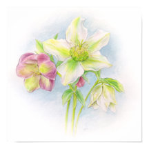 Erste Anzeichen für die Aquarellkunst des Frühling