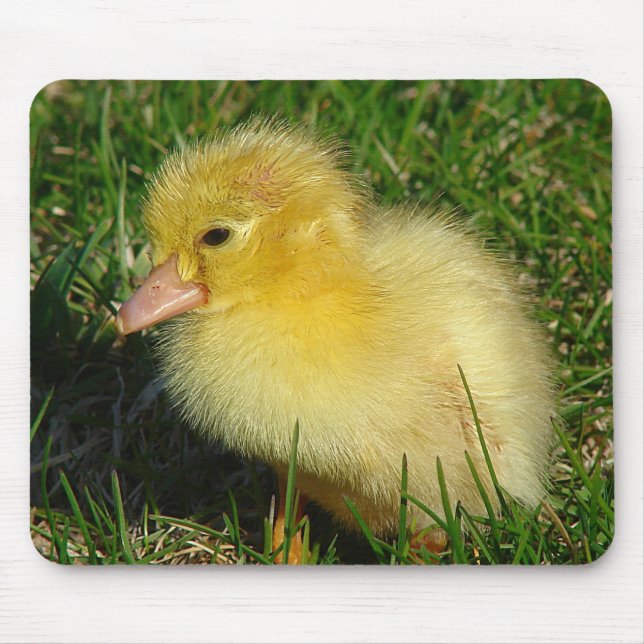 Erste Ausgabe der Saison Mousepad (Vorne)