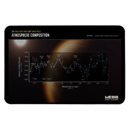 Erste Bilder von James Webb - WASP-96 b Magnet