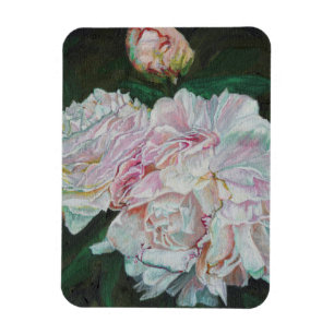 Erste Blüte 2012 Magnet
