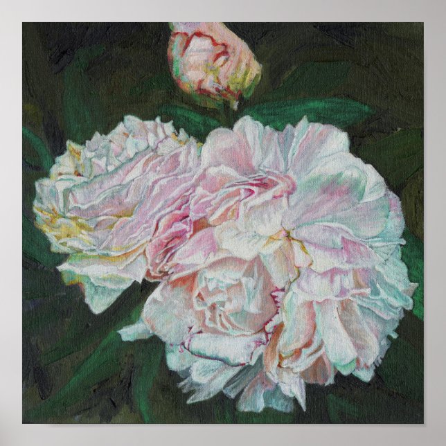 Erste Blüten 2012 Poster (Vorne)