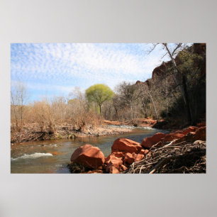 Erste Frühjahrsshow Poster