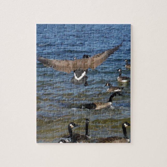 Erste Gänse zum Fliegen, Gänse am Arrowhad-See (Vertikal)