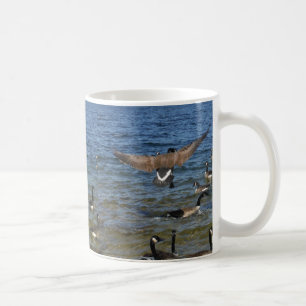 Erste Gänse zum Fliegen, Gänse am Arrowhad-See Kaffeetasse