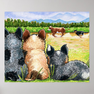 Erste Lektion durch Andie Poster