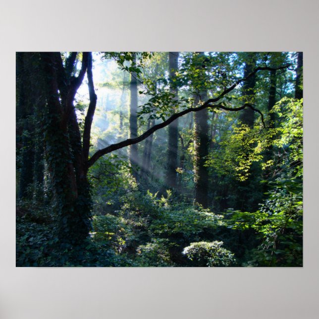 Erste Light Print Poster (Vorne)