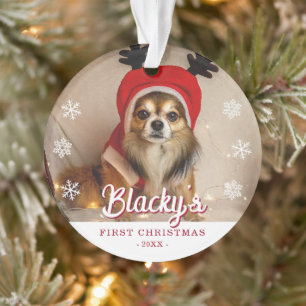 Erste Weihnachts Welpe Foto Snowflakes Ornament