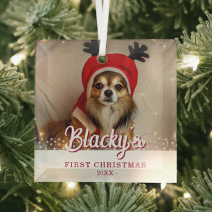 Erste Weihnachts Welpe Foto White Stars Ornament Aus Glas